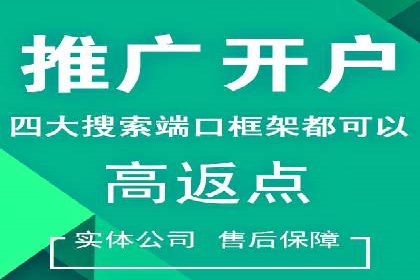 专业SEM服务托管方案案例分析
